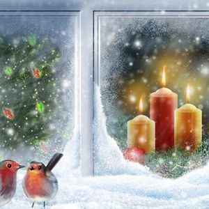 Meet your Posher, Thomas